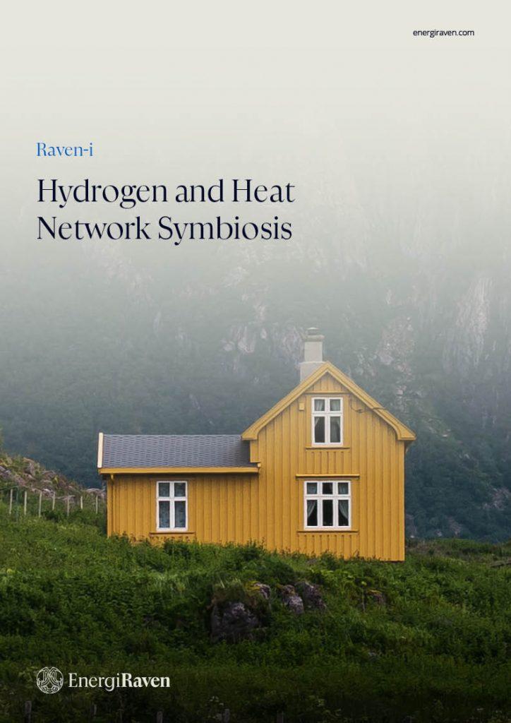 Raven-i - Hydrogen and Heat Network Symbiosis