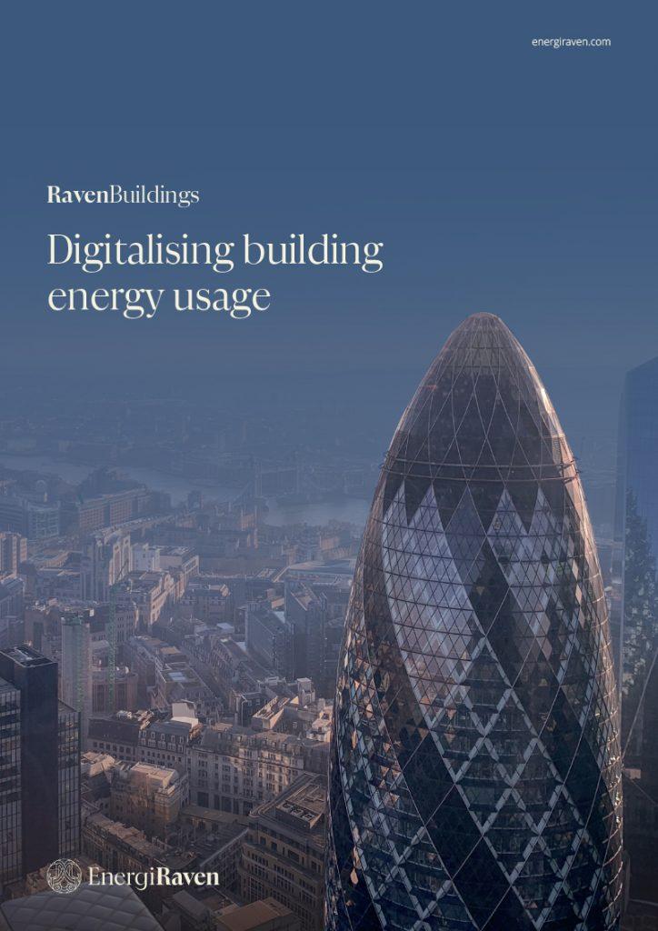 RavenBuildings Digitalising Building Energy Use Cover