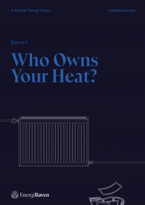 Raven-i_Who Owns Your Heat